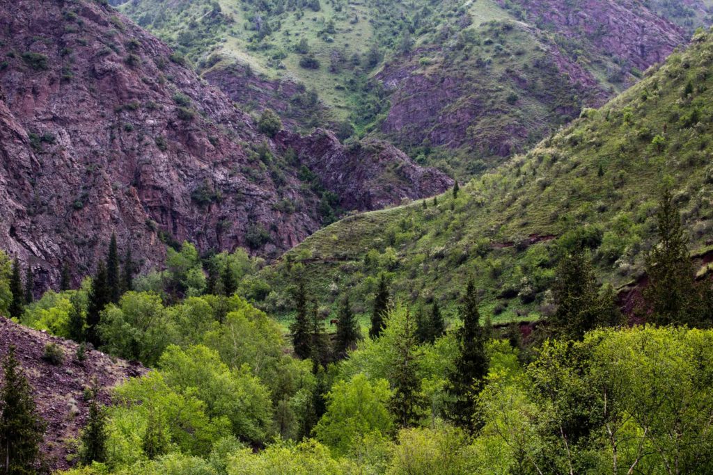 Hiking the Kang-Sai Valley.