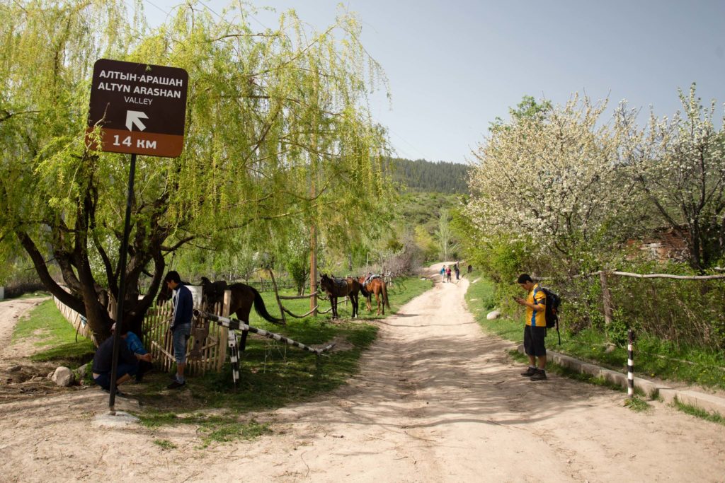 Road fork in Teploklychenka.