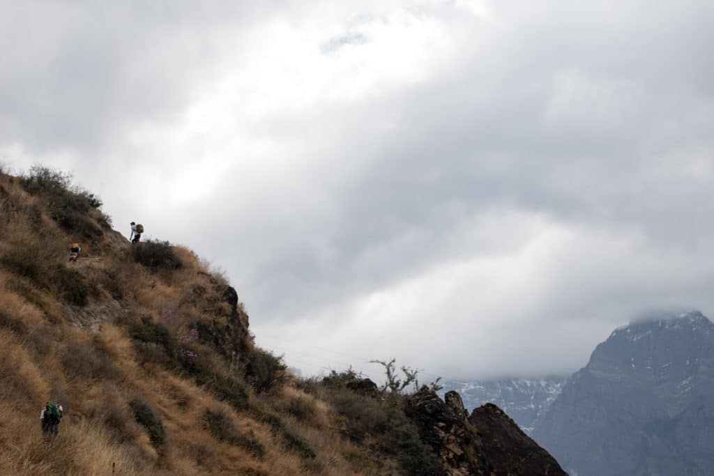 Hikers on Hillside in TLG