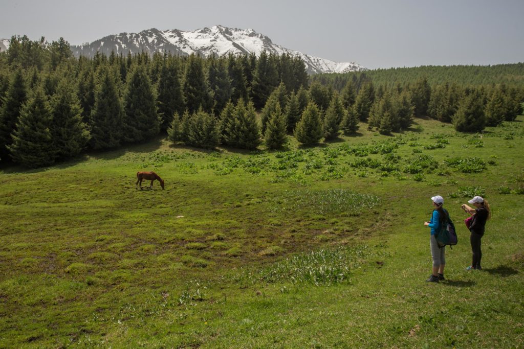 Tourists in Ak-Suu Arboretum.