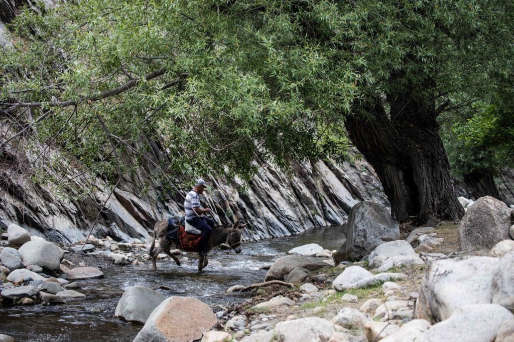 Donkey with Rider Crossing the Kadvan River