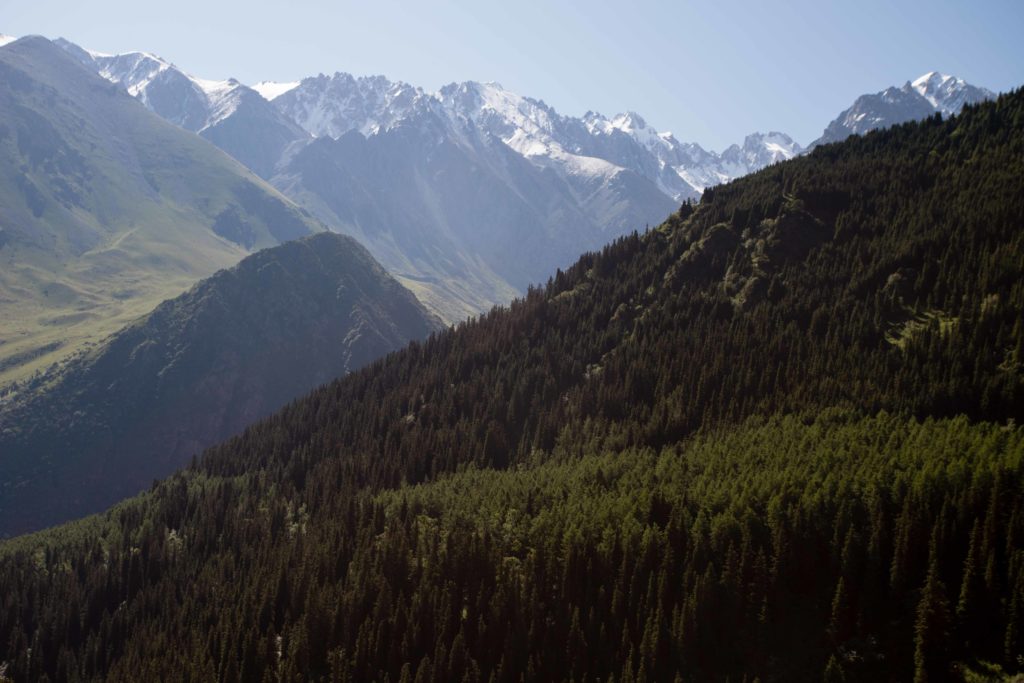 Ak Sai Ridge View from Adygene Valley