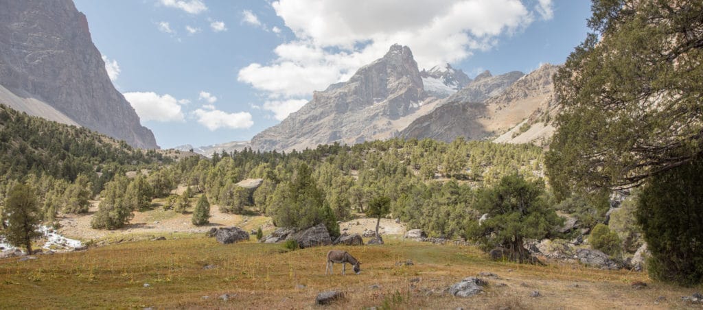 Donkey grazing between Vertical Alovaddin and the lake