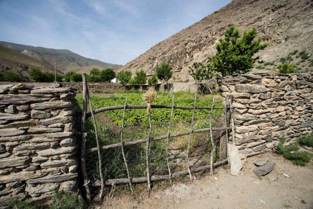 Garden in the modern village of Katta Ej