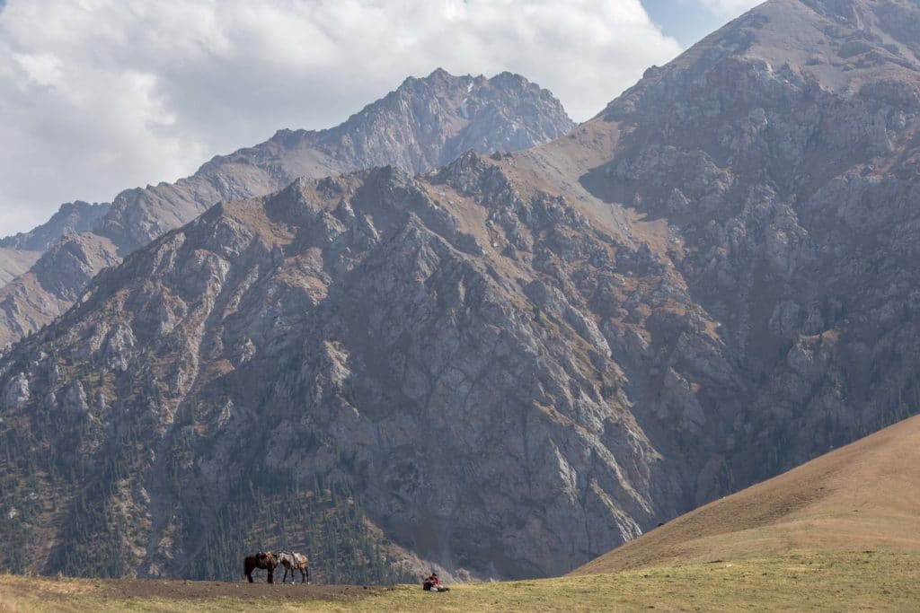 Grazing horses near Ak Tash in Naryn