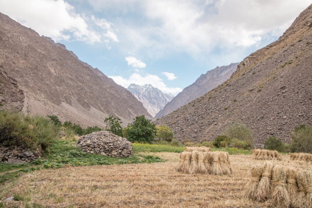 Crops in the Jizeu Valley