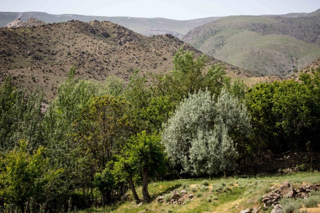 Landscape near the Katta Ej Ruins