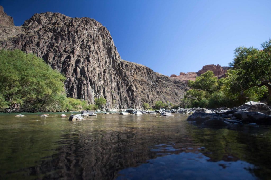 Shade on the Charyn River