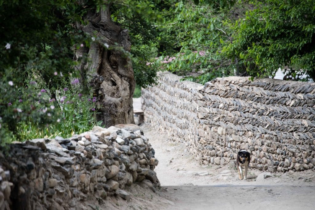 Stone Walls in the Village of Sentob