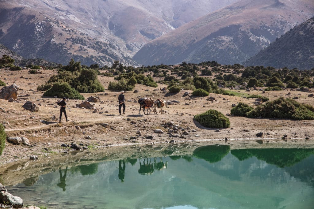 Shepherds with donkeys in the Kulikalon Bowl