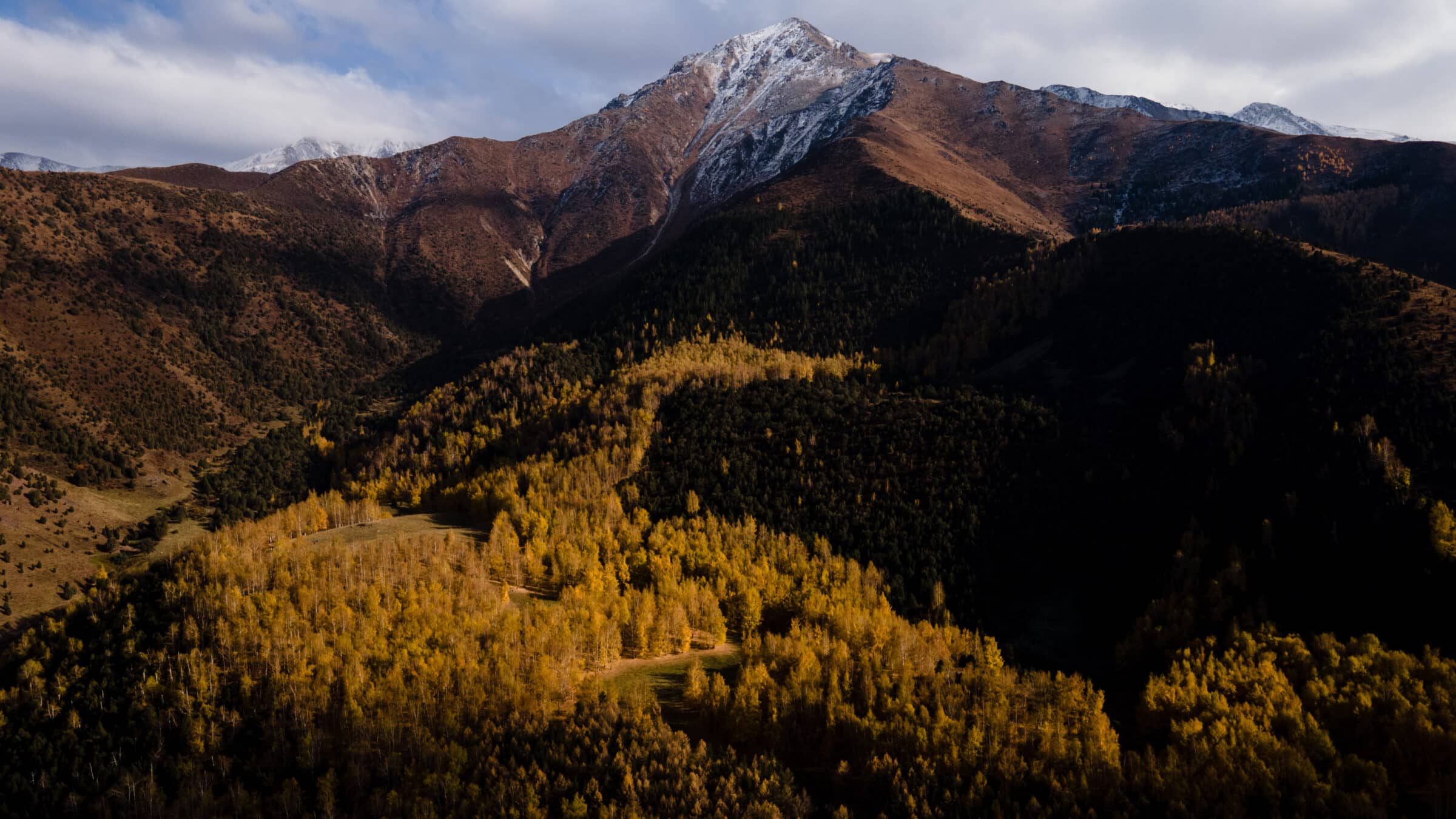 Boirok Grove birch stand near BIshkek Kyrgyzstan