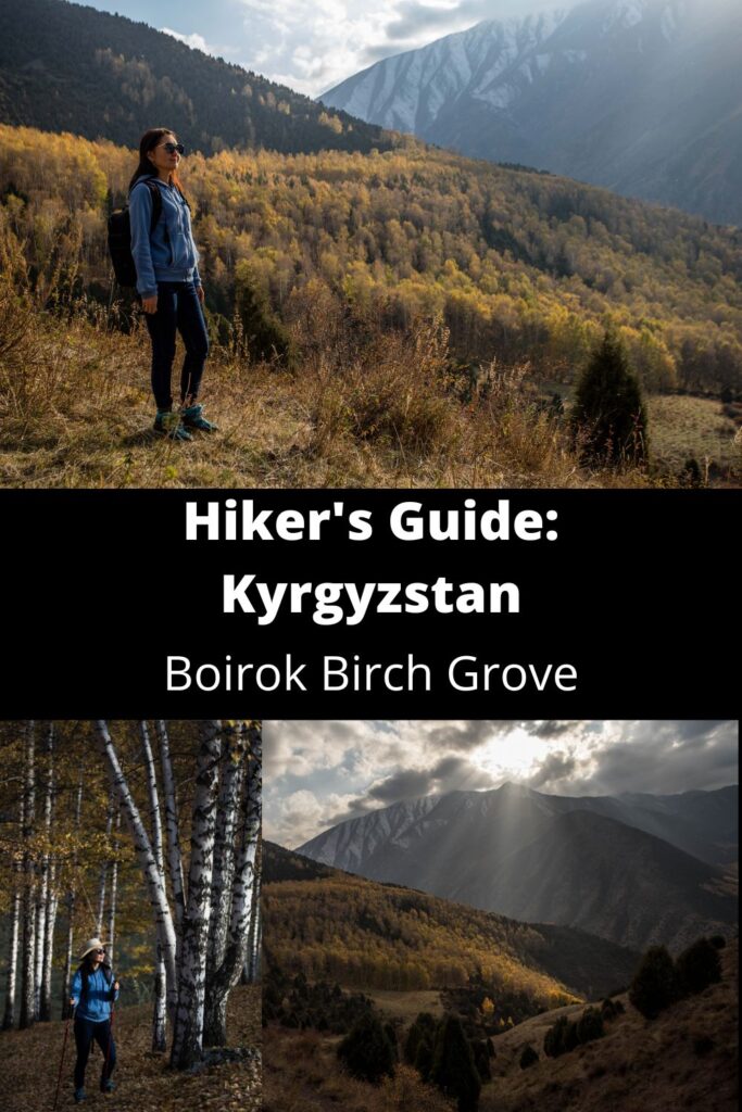 Hiker's Guide Kyrgyzstan: Boirok Grove