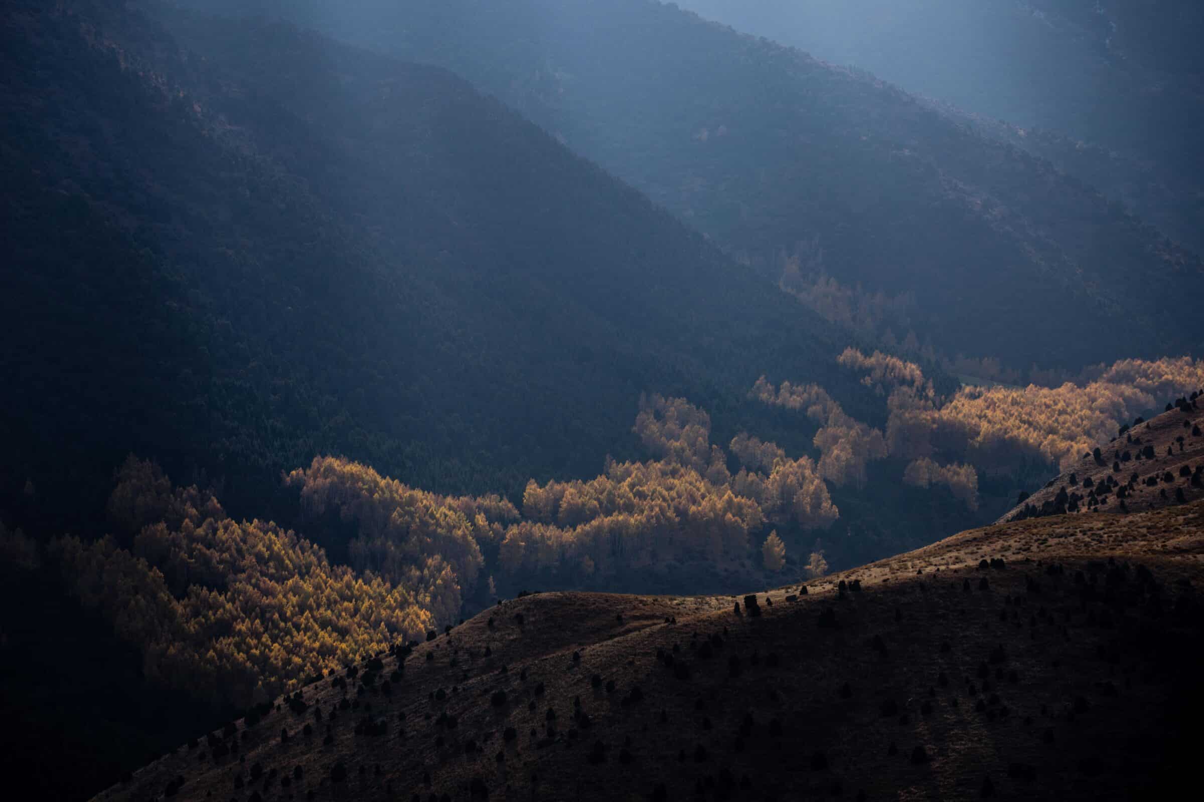 Looking down from Boirok Grove near Bishkek