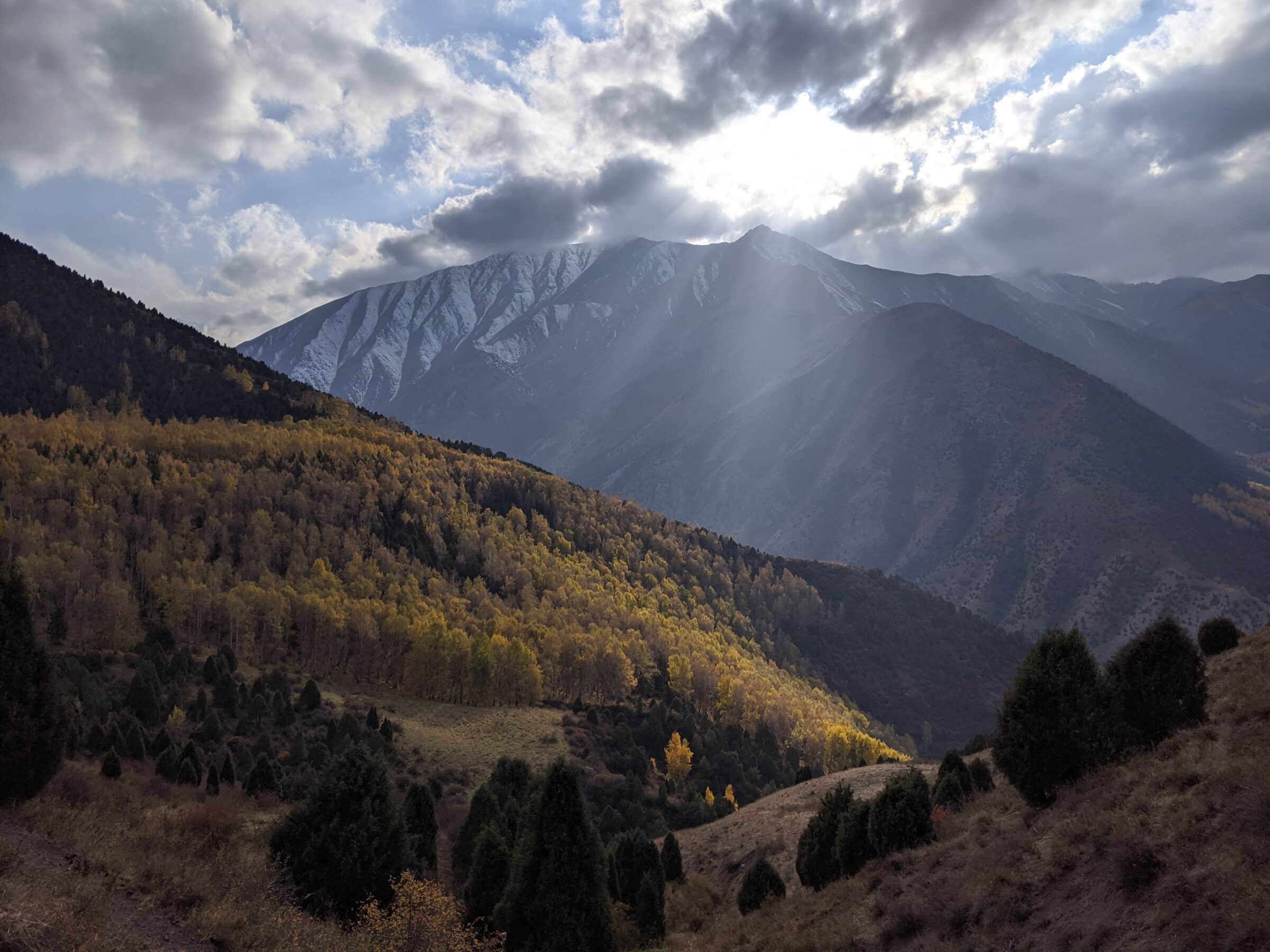 Sunlight hitting the Boirok Grove near Bishkek Kyrgyzstan