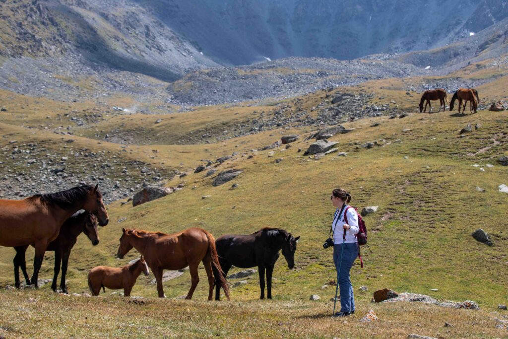 Horses and hiker at Suluutor Lakes
