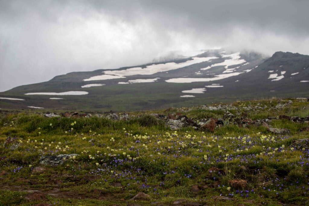Aragats South Peak as the midday clouds roll in