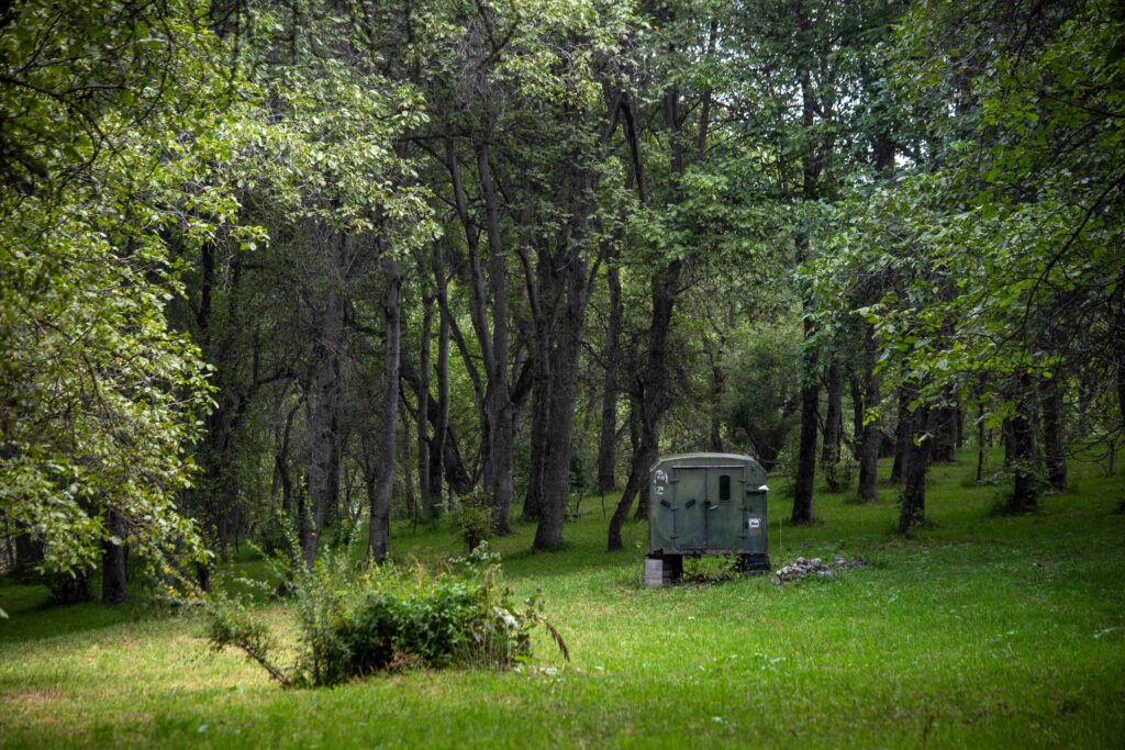 Arslanbob Walnut Forest