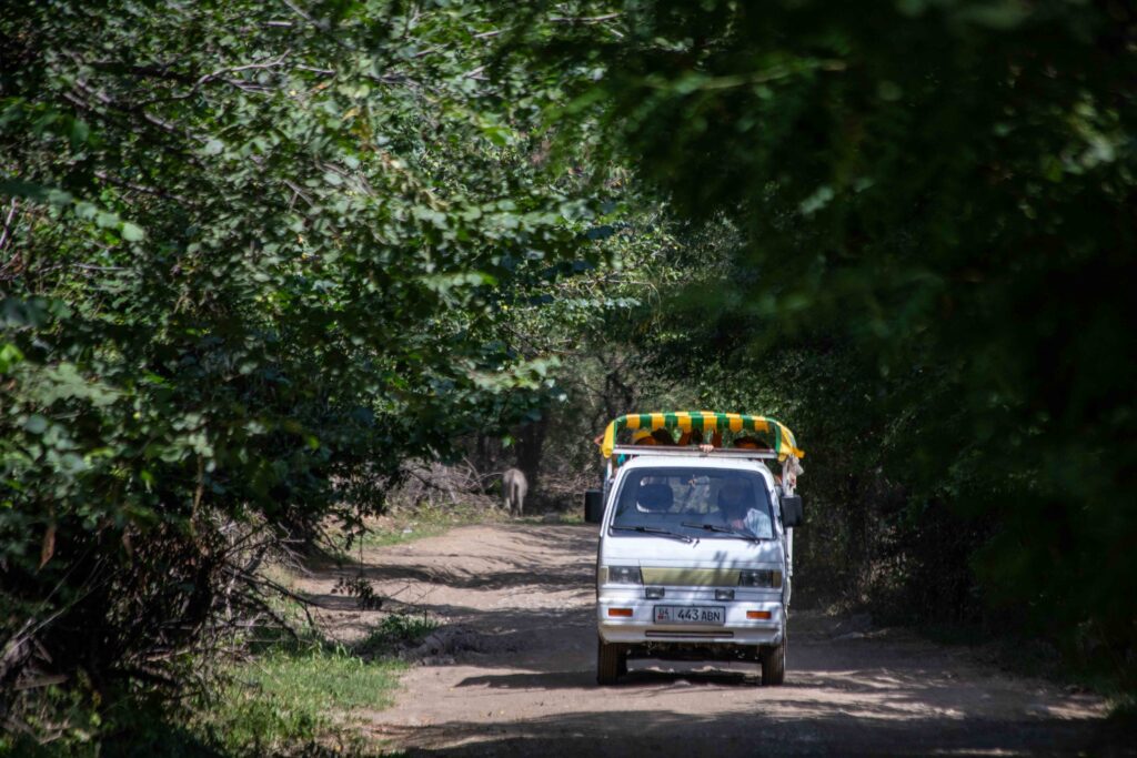 Arslanbob Walnut Forest Road