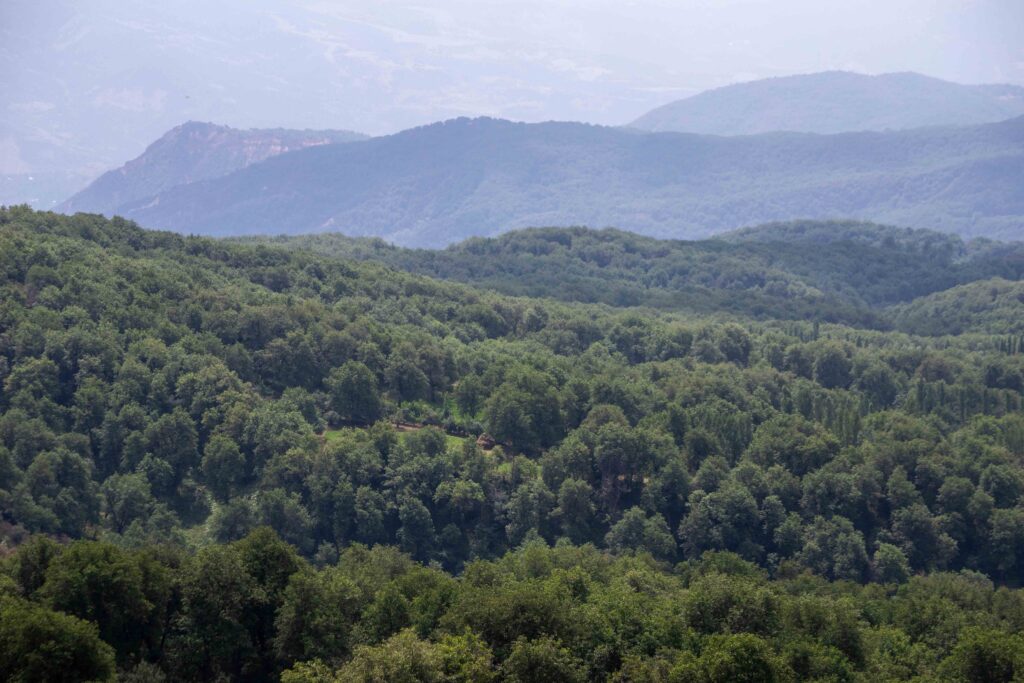 Arslanbob Walnut Forest Views