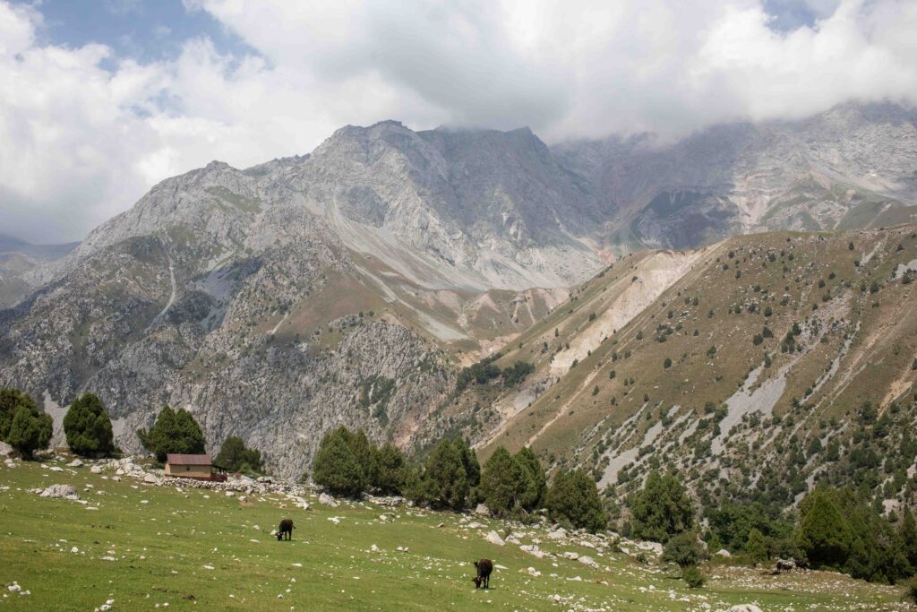Pasture Above Arslanbob Village