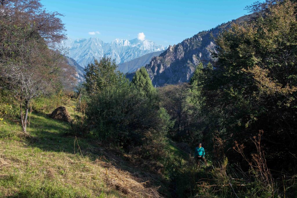 Sary Chelek Lakes Loop Trekking Tour