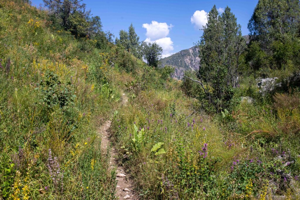 Sary Chelek Walking Path