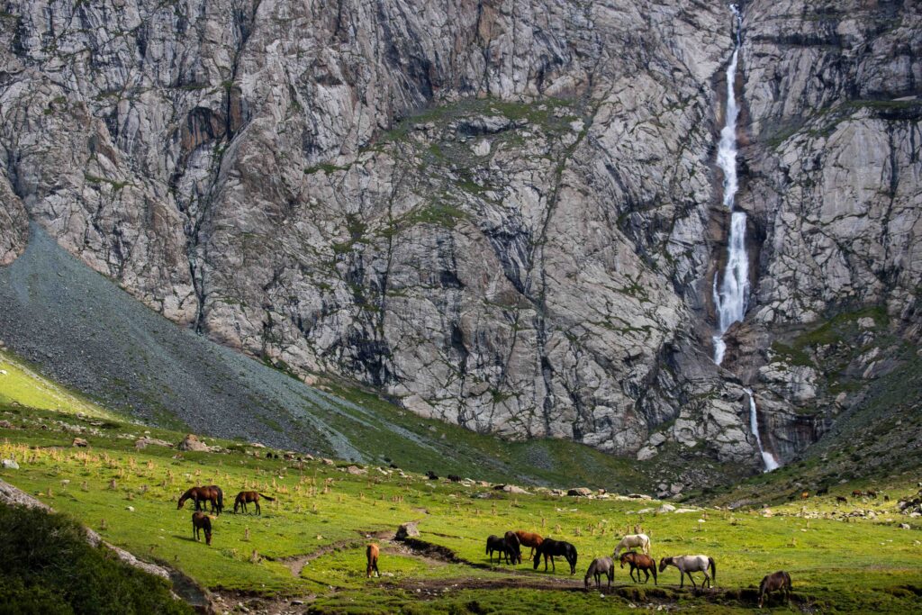 Horses graze in front of Shaar Waterfall
